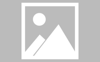 葫芦岛包头网站建设网站（包头网站建设网站有哪些）